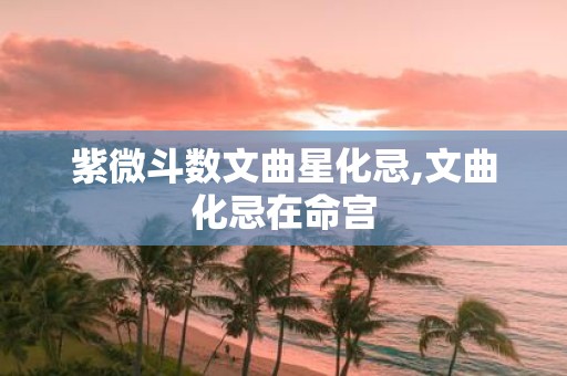 紫微斗数文曲星化忌,文曲化忌在命宫