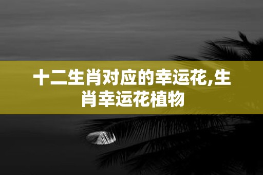 十二生肖对应的幸运花,生肖幸运花植物