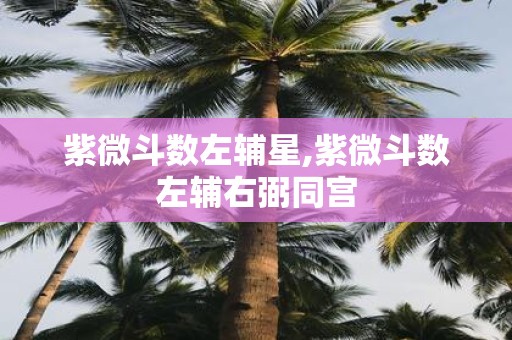 紫微斗数左辅星,紫微斗数左辅右弼同宫