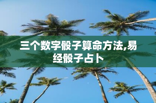 三个数字骰子算命方法,易经骰子占卜