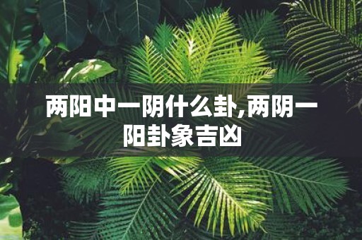 两阳中一阴什么卦,两阴一阳卦象吉凶