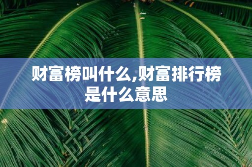 财富榜叫什么,财富排行榜是什么意思