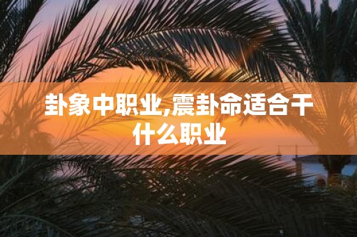 卦象中职业,震卦命适合干什么职业