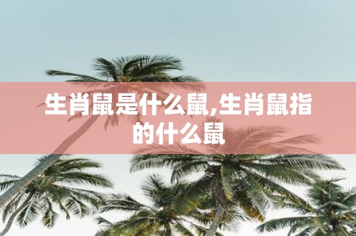 生肖鼠是什么鼠,生肖鼠指的什么鼠
