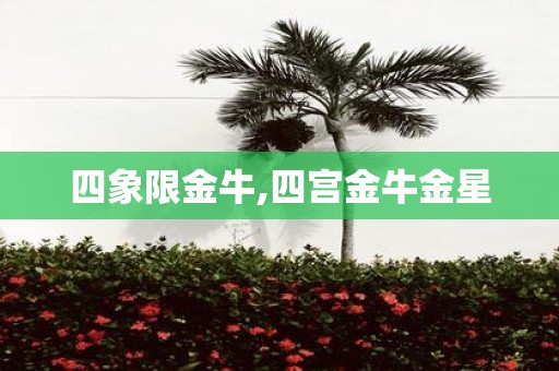 四象限金牛,四宫金牛金星