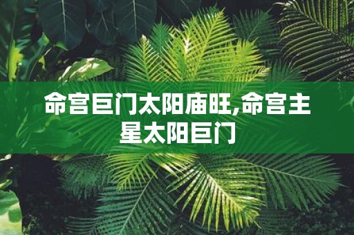 命宫巨门太阳庙旺,命宫主星太阳巨门