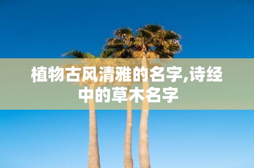 植物古风清雅的名字,诗经中的草木名字