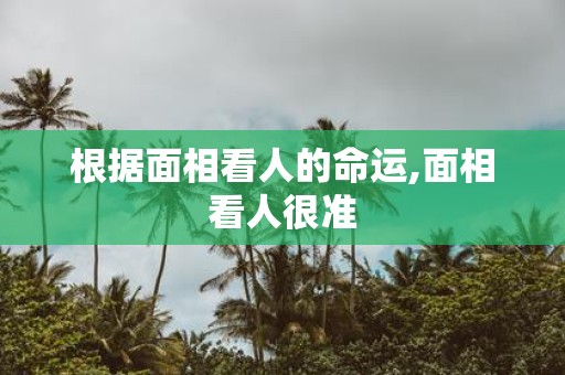 根据面相看人的命运,面相看人很准