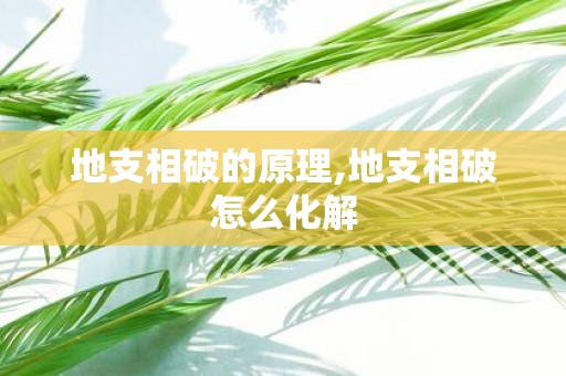 地支相破的原理,地支相破怎么化解