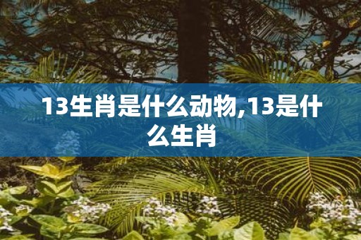 13生肖是什么动物,13是什么生肖