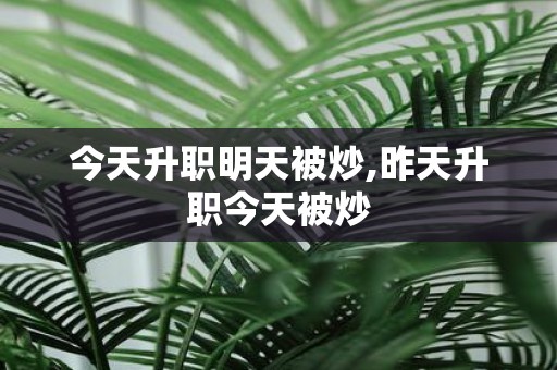今天升职明天被炒,昨天升职今天被炒