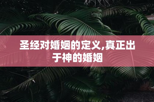 圣经对婚姻的定义,真正出于神的婚姻