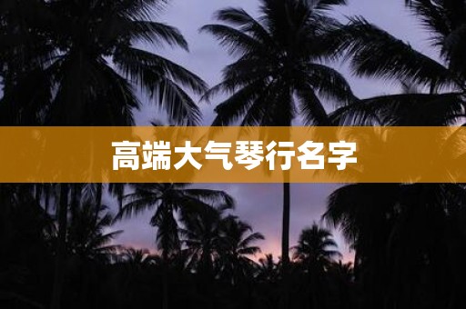 高端大气琴行名字