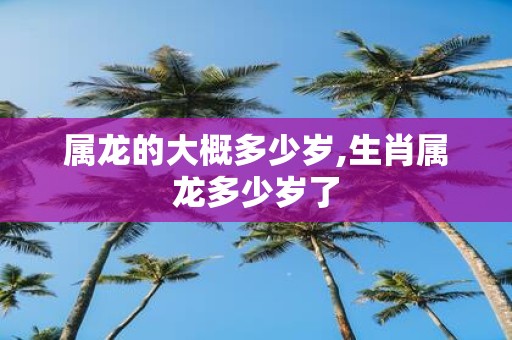 属龙的大概多少岁,生肖属龙多少岁了