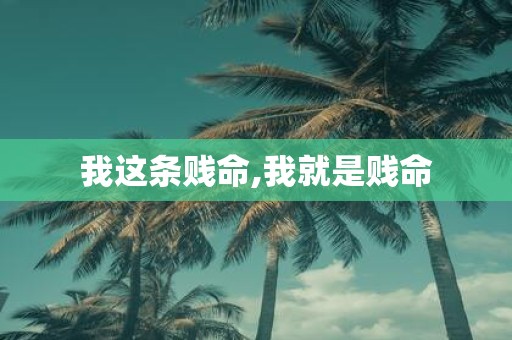 我这条贱命,我就是贱命