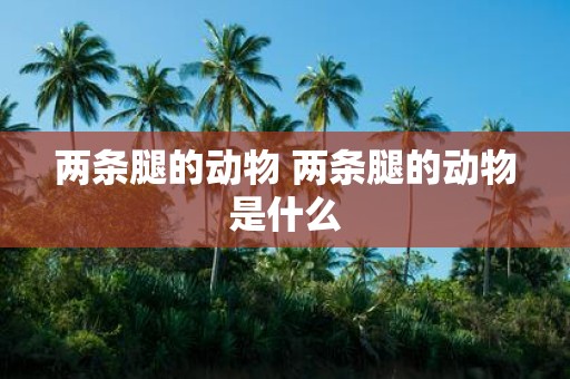 两条腿的动物 两条腿的动物是什么