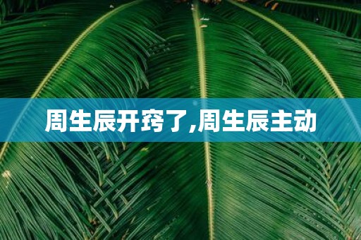 周生辰开窍了,周生辰主动