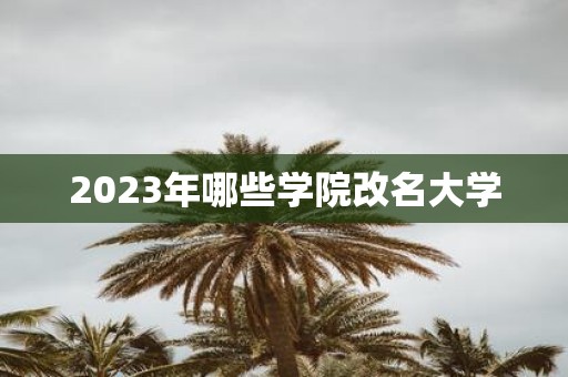 2025年哪些学院改名大学
