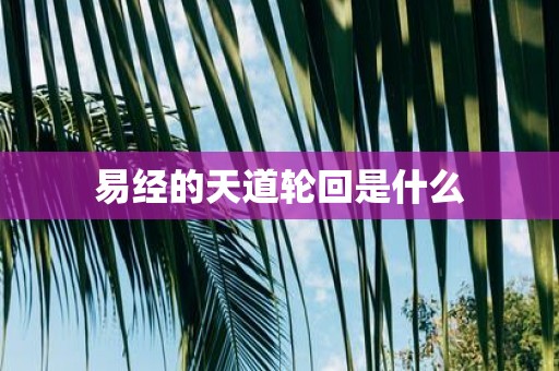 易经的天道轮回是什么