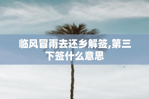 临风冒雨去还乡解签,第三下签什么意思