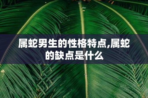属蛇男生的性格特点,属蛇的缺点是什么