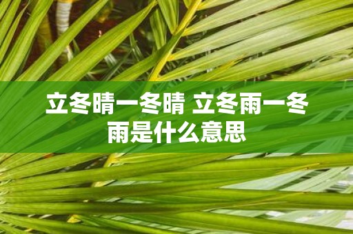 立冬晴一冬晴 立冬雨一冬雨是什么意思