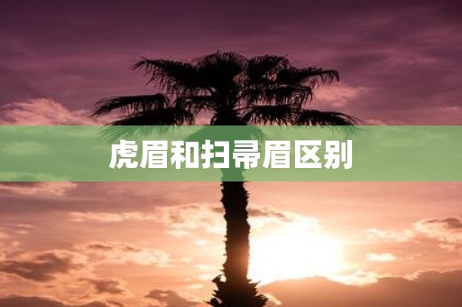 虎眉和扫帚眉区别