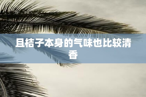 且桔子本身的气味也比较清香