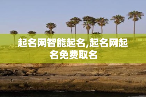 起名网智能起名,起名网起名免费取名