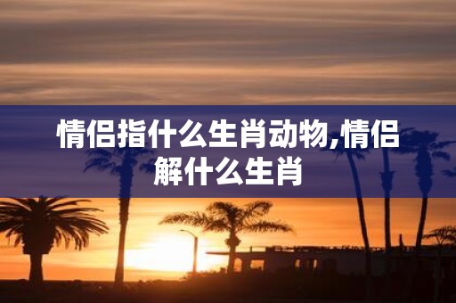 情侣指什么生肖动物,情侣解什么生肖