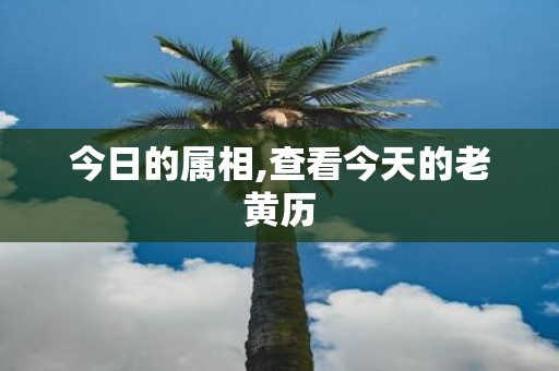 今日的属相,查看今天的老黄历