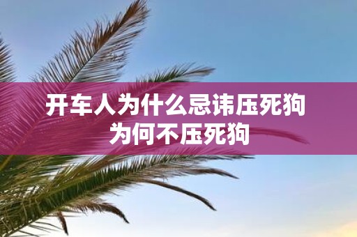 开车人为什么忌讳压死狗 为何不压死狗