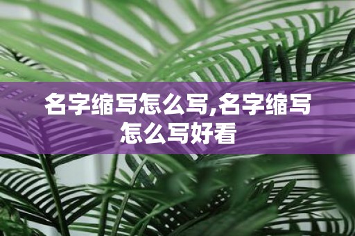 名字缩写怎么写,名字缩写怎么写好看