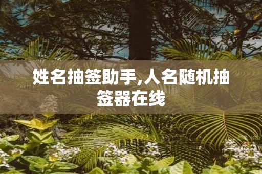 姓名抽签助手,人名随机抽签器在线