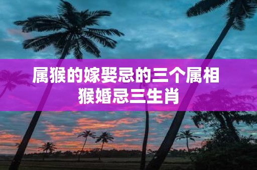 属猴的嫁娶忌的三个属相 猴婚忌三生肖