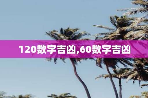 120数字吉凶,60数字吉凶
