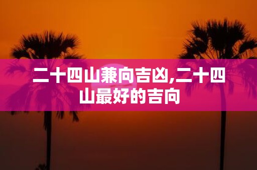 二十四山兼向吉凶,二十四山最好的吉向