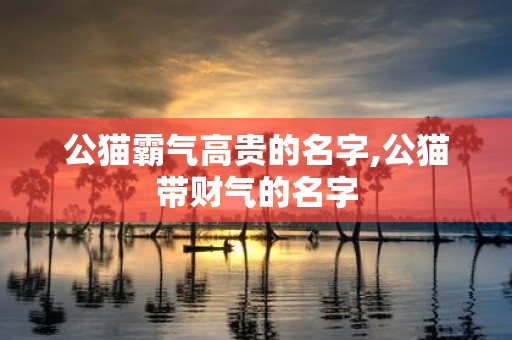 公猫霸气高贵的名字,公猫带财气的名字