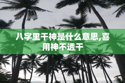 八字里干神是什么意思,喜用神不透干