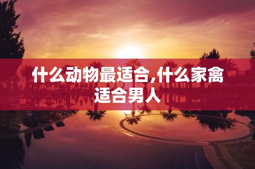 什么动物最适合,什么家禽适合男人