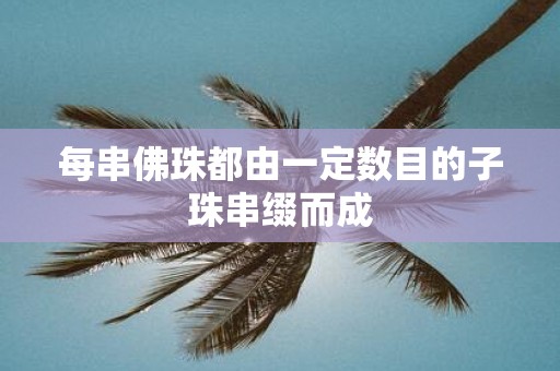 每串佛珠都由一定数目的子珠串缀而成