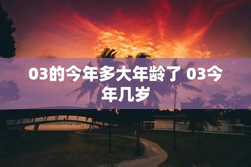 03的今年多大年龄了 03今年几岁