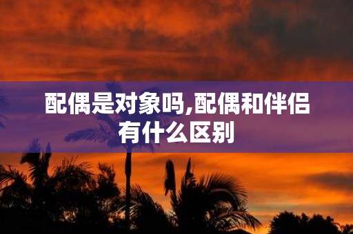 配偶是对象吗,配偶和伴侣有什么区别