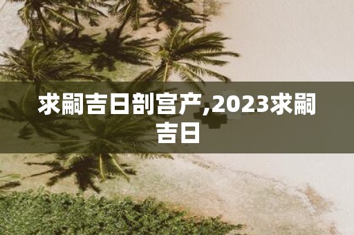 求嗣吉日剖宫产,2025求嗣吉日