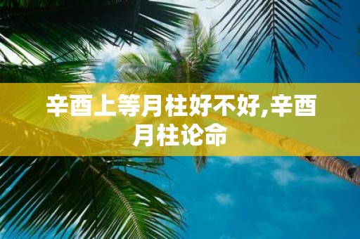 辛酉上等月柱好不好,辛酉月柱论命