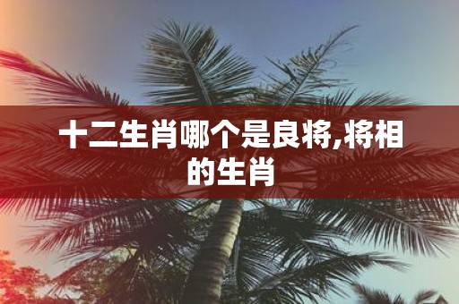 十二生肖哪个是良将,将相的生肖