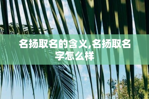 名扬取名的含义,名扬取名字怎么样