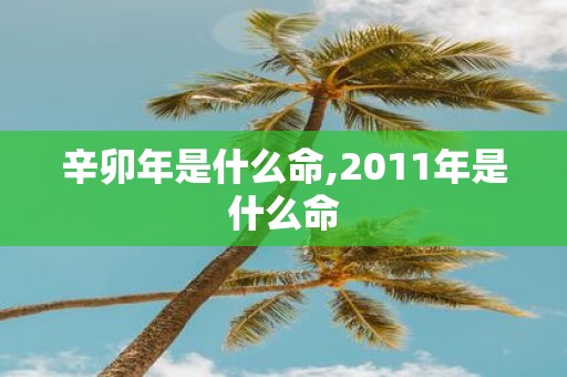 辛卯年是什么命,2011年是什么命