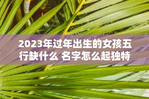 2025年过年出生的女孩五行缺什么 名字怎么起独特
