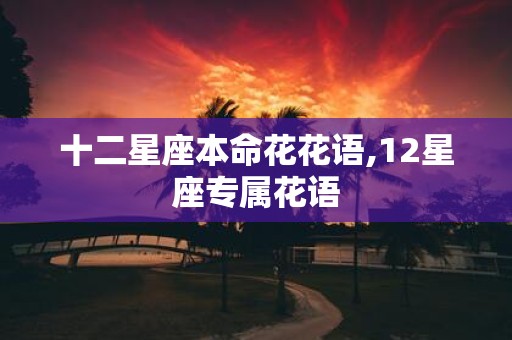 十二星座本命花花语,12星座专属花语